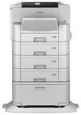 C11CG70402SP